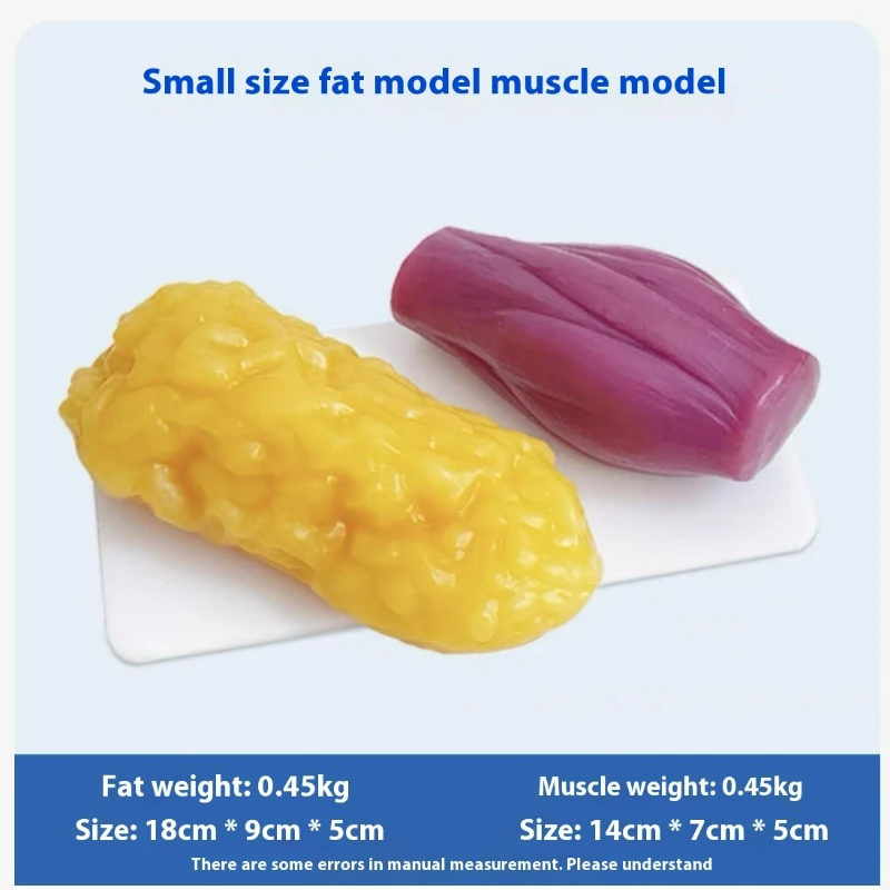 Menschliche Muskel- und Fettre – Nutrition And Fitness Bewertung und Preis